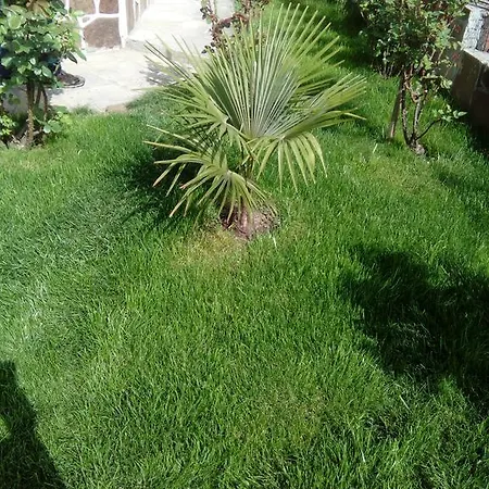 The Beautiful House 2* Veliko Tarnovo