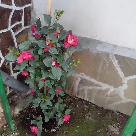 The Beautiful House Guest house 2*