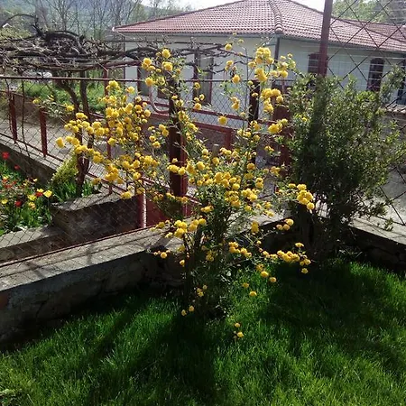 The Beautiful House Guest house Veliko Tarnovo