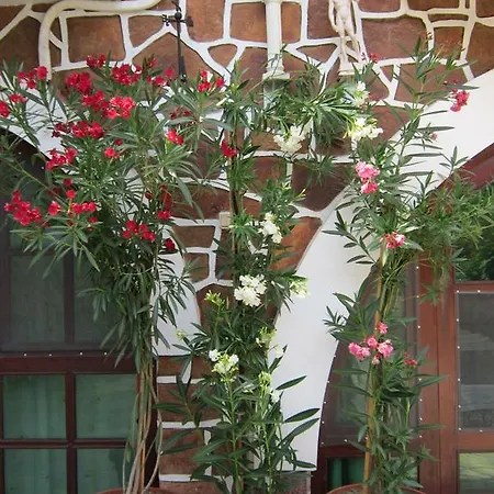 Guest house The Beautiful House Veliko Tarnovo