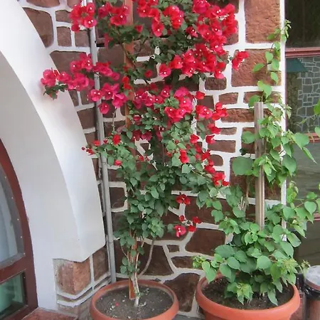 The Beautiful House Guest house Veliko Tarnovo