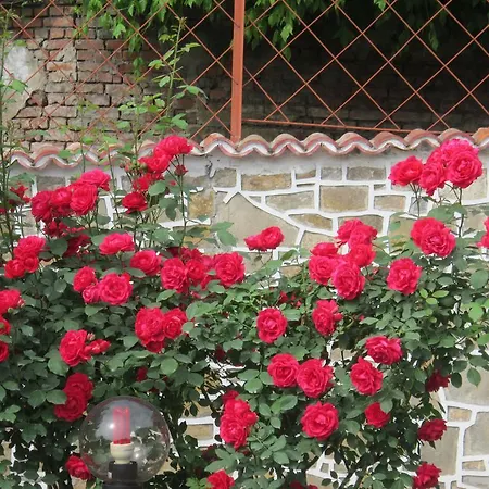 Guest house The Beautiful House 2*
