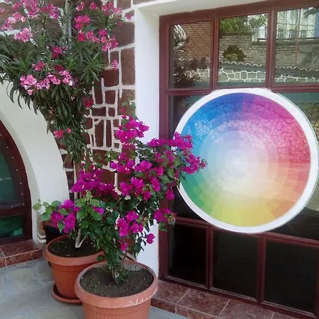 The Beautiful House Guest house