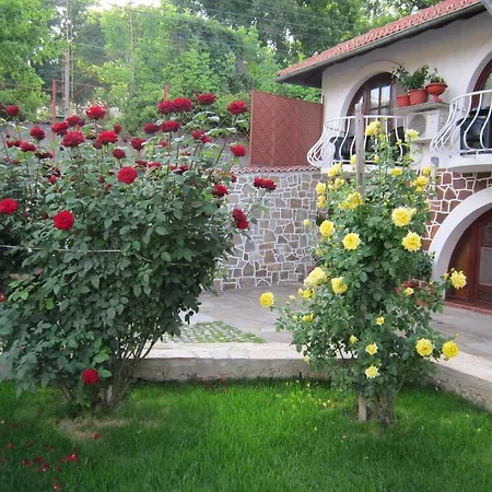 Guest house The Beautiful House 2*
